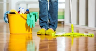 The 4 Roles of Cleaning Specialists in a Healthy Home
