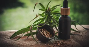 How THC-P Is Changing the Landscape of Cannabis Products?