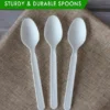 Disposable Cutlery Spoons