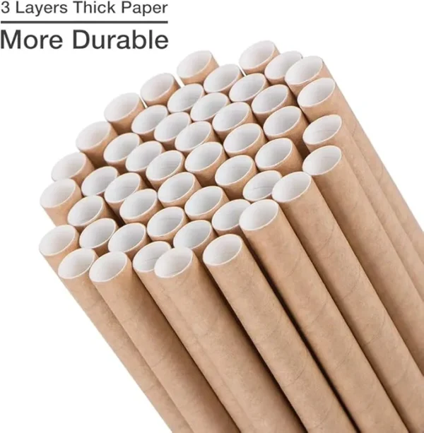 Paper Straws 2
