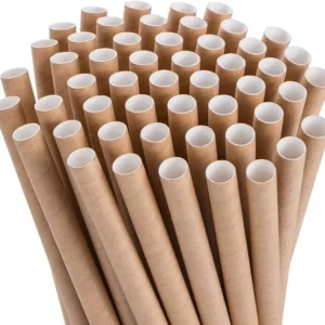 Paper Straws