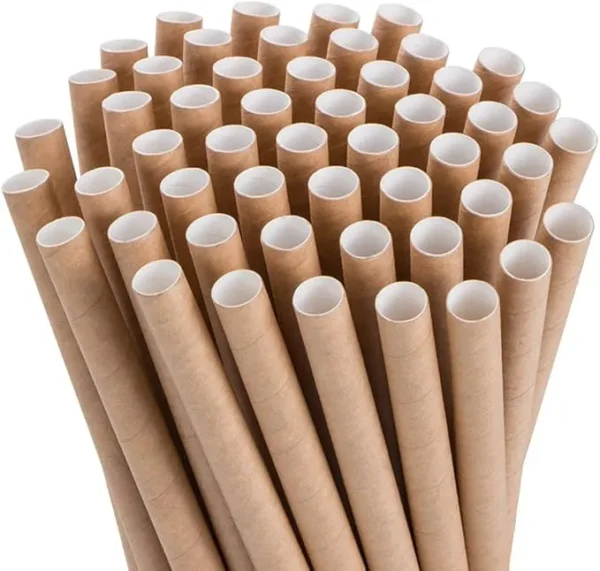 Paper Straws